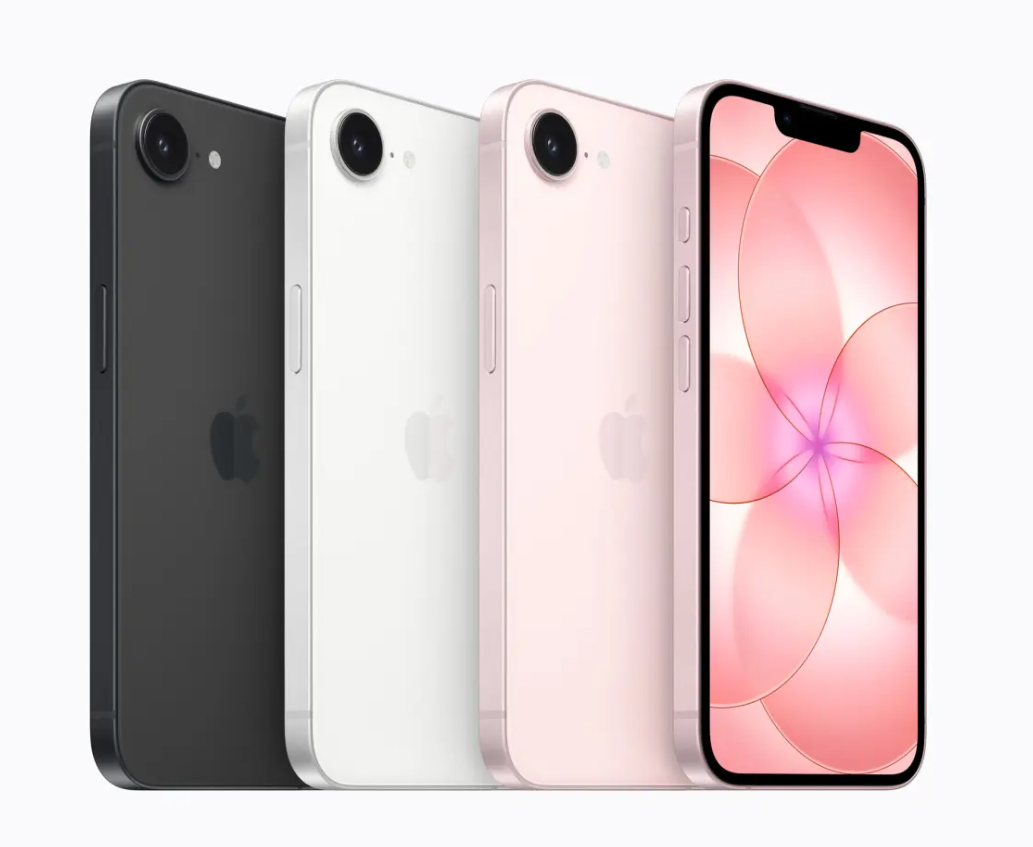 2026\3\5\image 731 070504